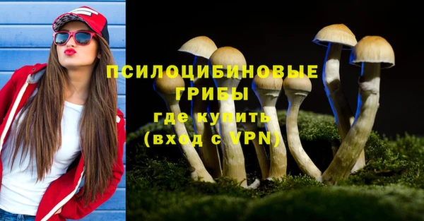 мдма Богородицк